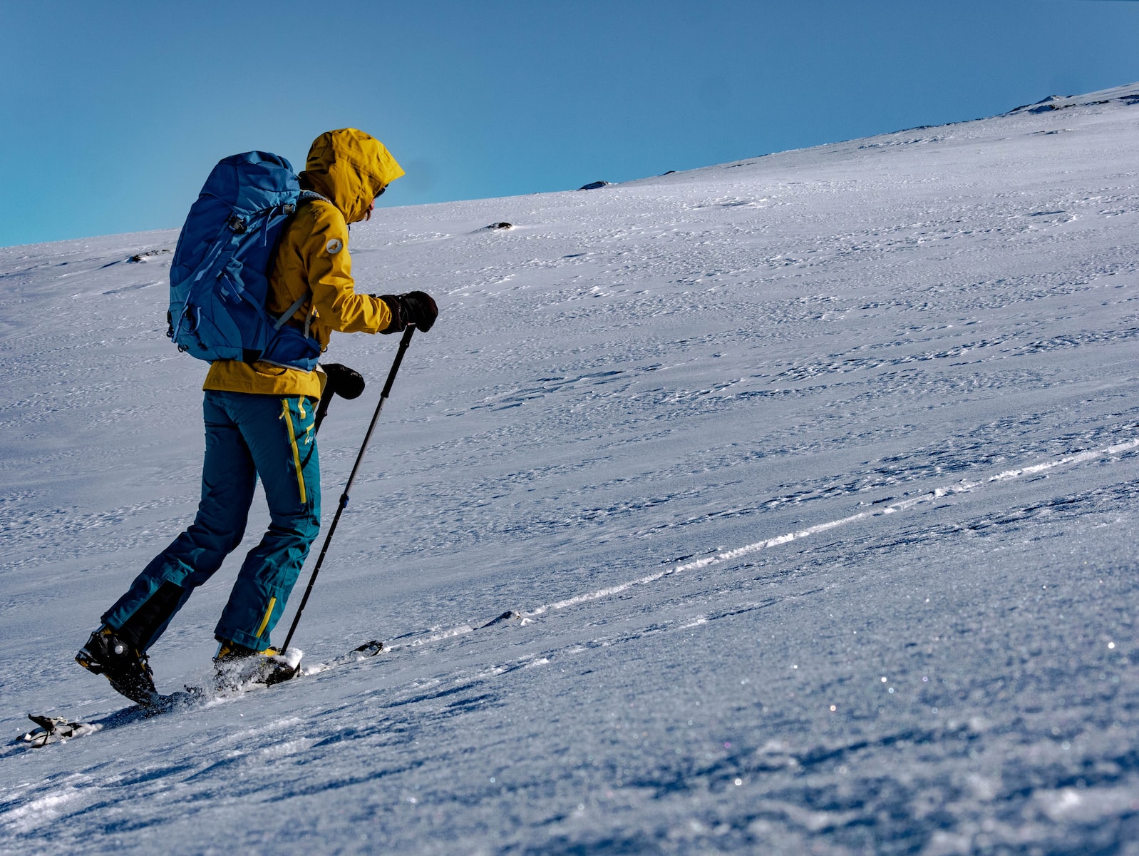Location de ski de randonnée en ligne : à qui s&rsquo;adresser ?