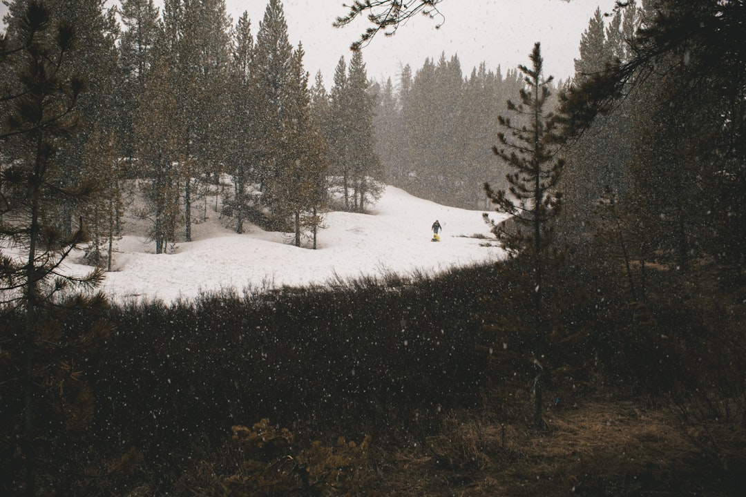 Comment choisir ses skis : guide ultime pour ne pas se tromper