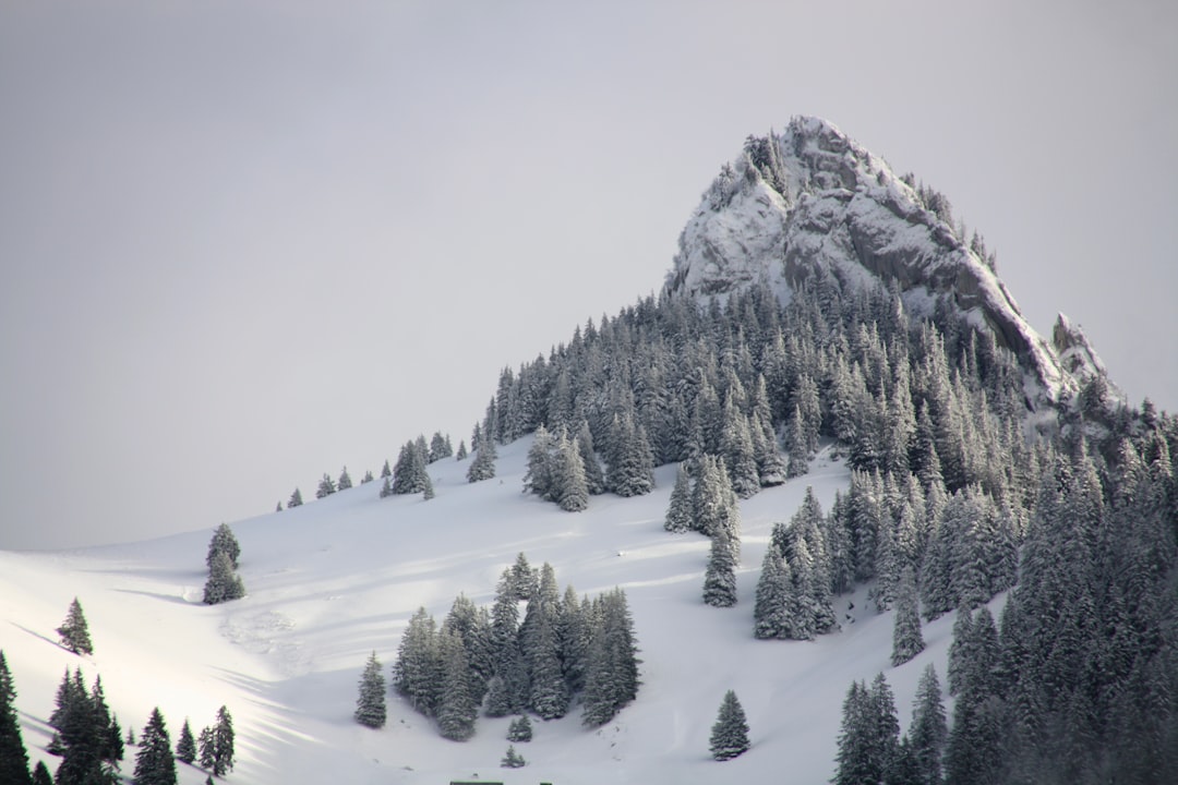 Guide ultime : comment choisir ses batons de ski pour une expérience optimale